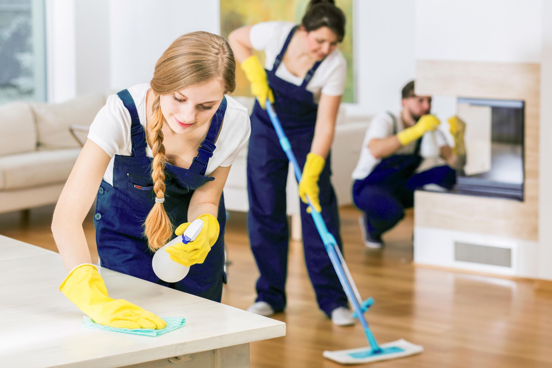 Luxclean Group