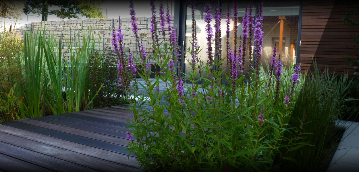 JLH Garden Design