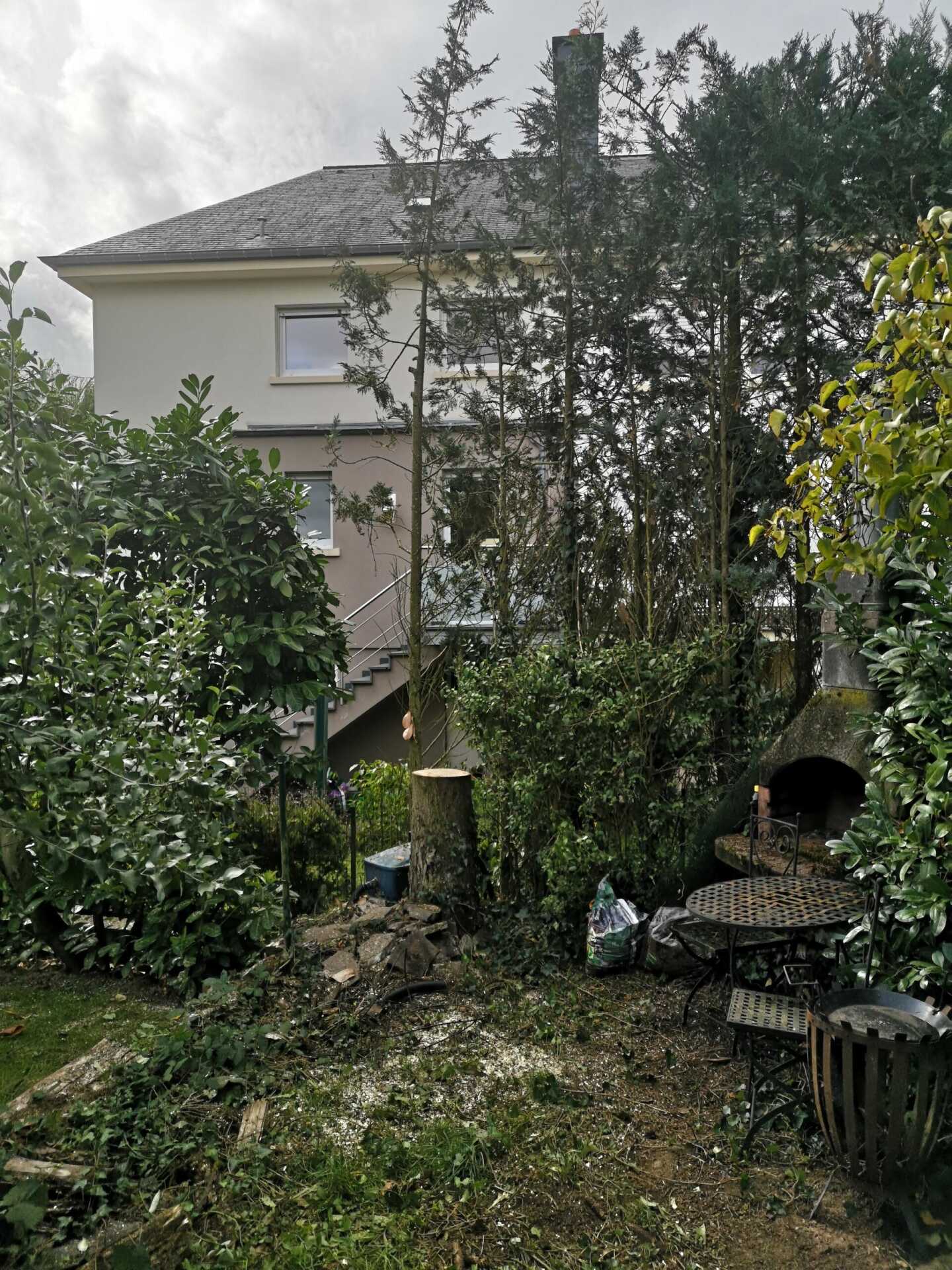 Green Space — Foto 2