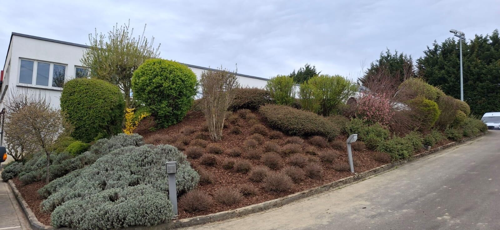 Green Space — Foto 5