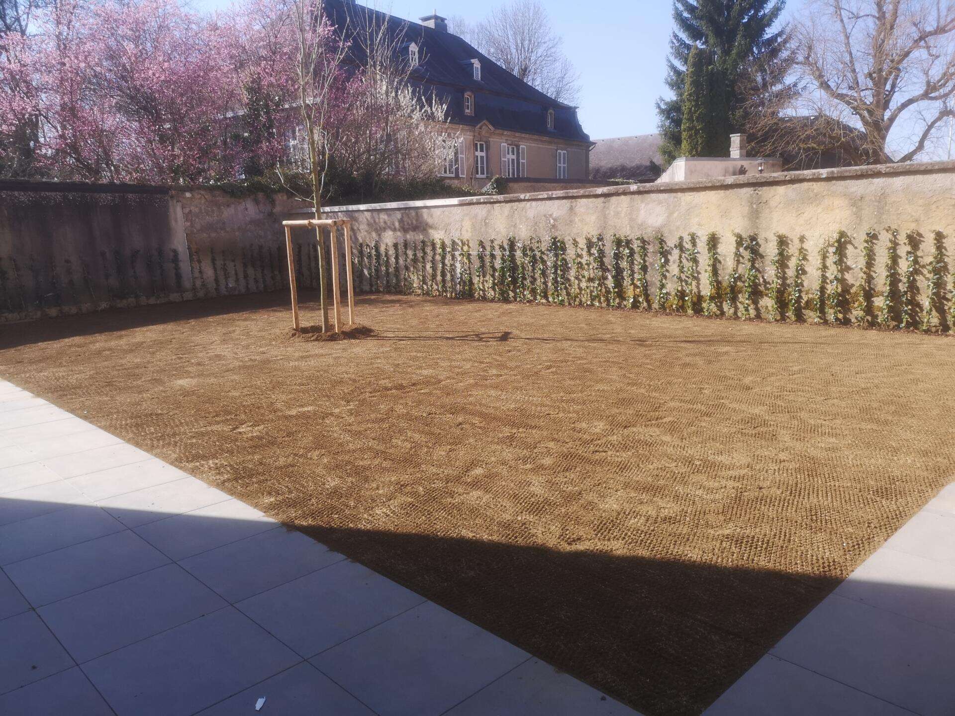 Green Space — photo 17