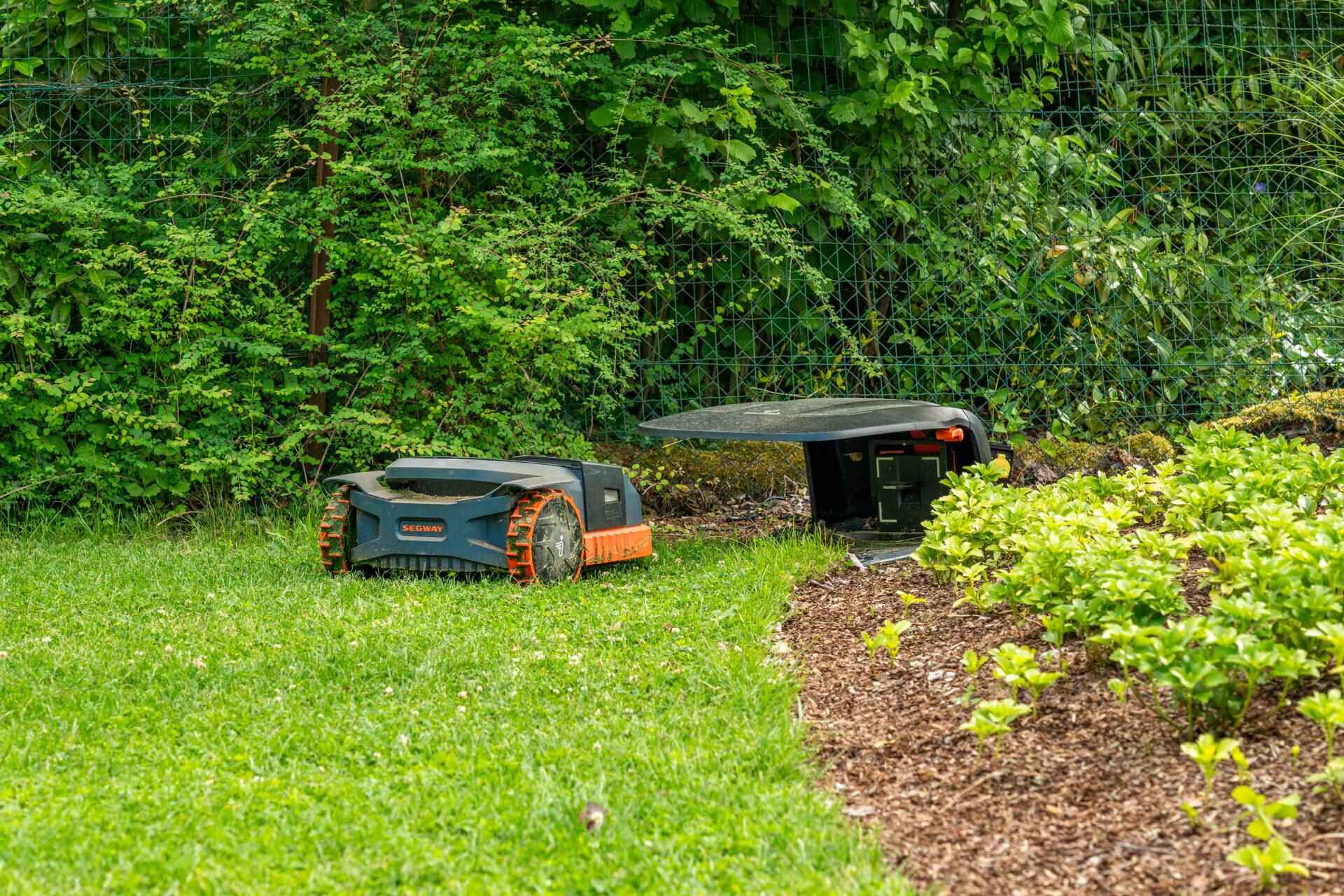 Green Space — photo 4