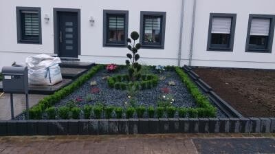 Jardin Alves — photo 4