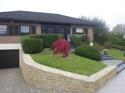 Jardin Alves — photo 5