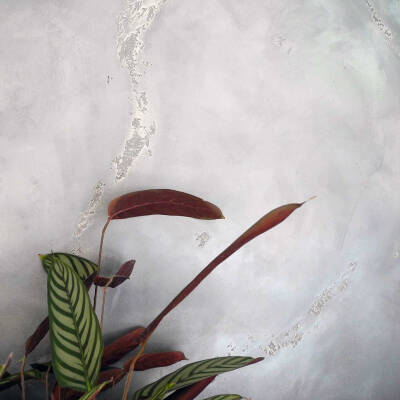 Peinture KUHN — Foto 4 miniature