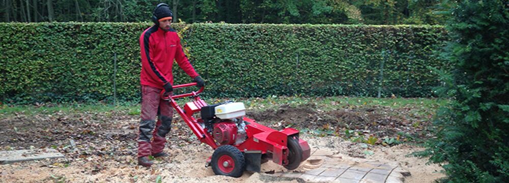 CG Environnement — Foto 1