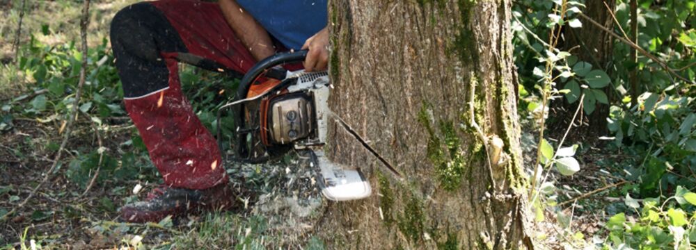 CG Environnement — Foto 3