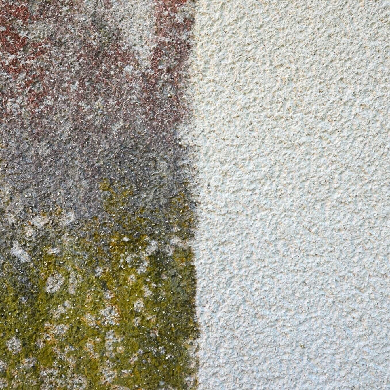 Cleanix — photo 6
