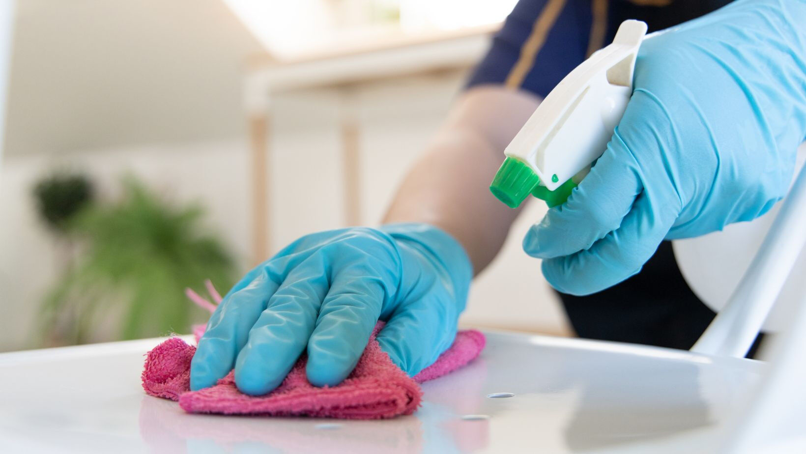 LUXMANN Cleaning Services