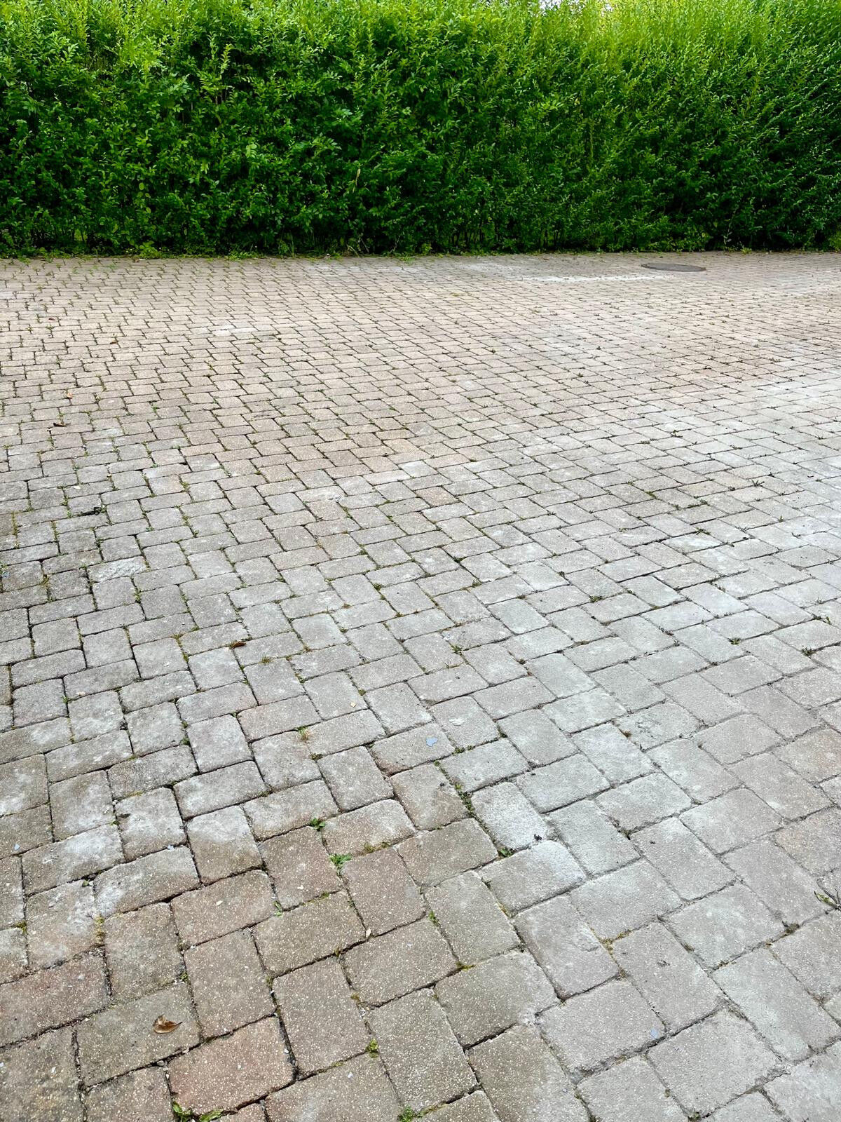 Nettoyage et Services Luxembourg — Foto 41