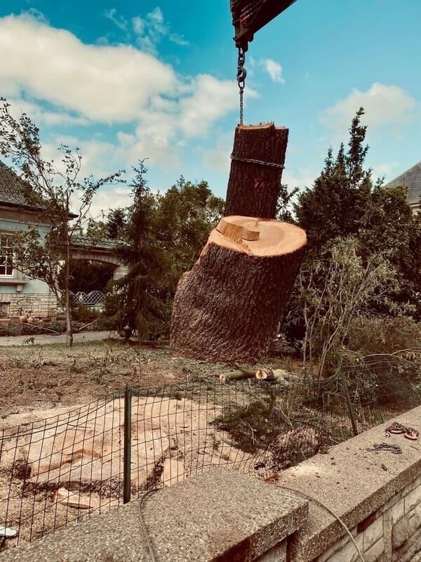 Spellini — Foto 9