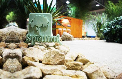 Spellini — Foto 1 miniature