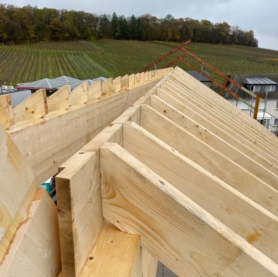 Roofing & Timber Frame by VAZ TOITURES in Esch-sur-Alzette, project 5