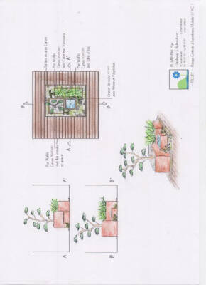 Blumenthal Jardinage et Hydroculture — photo 4 miniature
