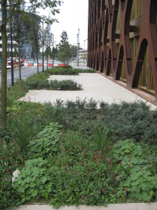 Blumenthal Jardinage et Hydroculture — photo 2