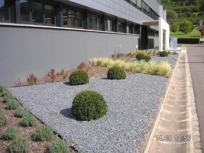 Blumenthal Jardinage et Hydroculture — photo 6