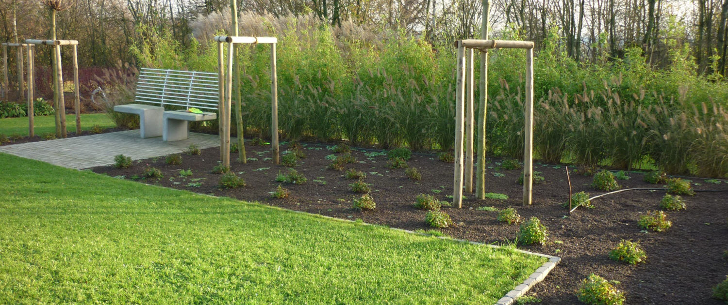 Blumenthal Jardinage et Hydroculture — photo 10