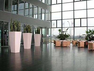 Blumenthal Jardinage et Hydroculture — photo 13 miniature