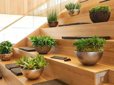 Blumenthal Jardinage et Hydroculture — photo 11 miniature