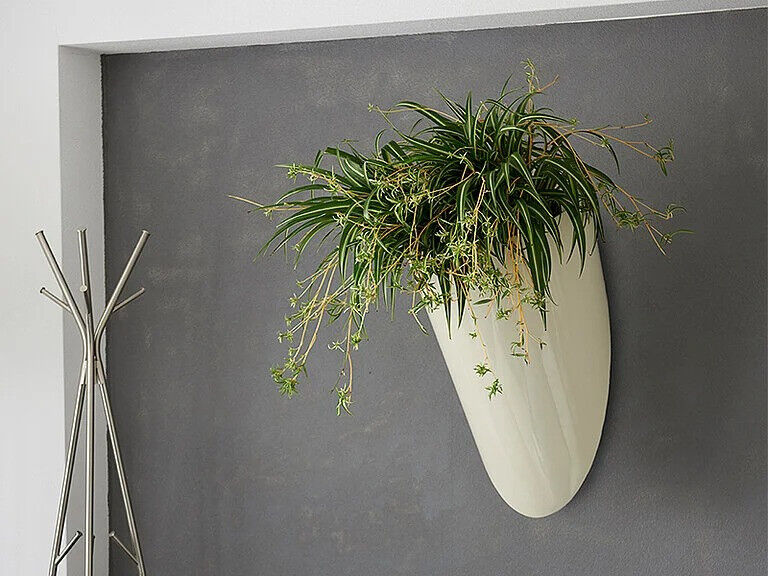 Blumenthal Jardinage et Hydroculture — photo 14