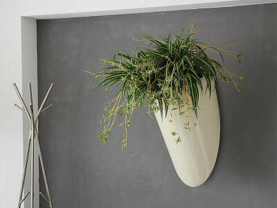 Blumenthal Jardinage et Hydroculture — photo 14 miniature