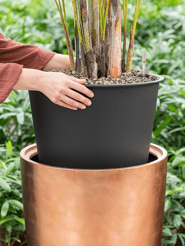 Blumenthal Jardinage et Hydroculture — Foto 23