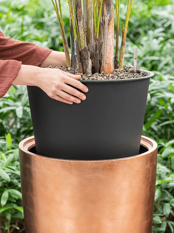 Blumenthal Jardinage et Hydroculture — photo 23