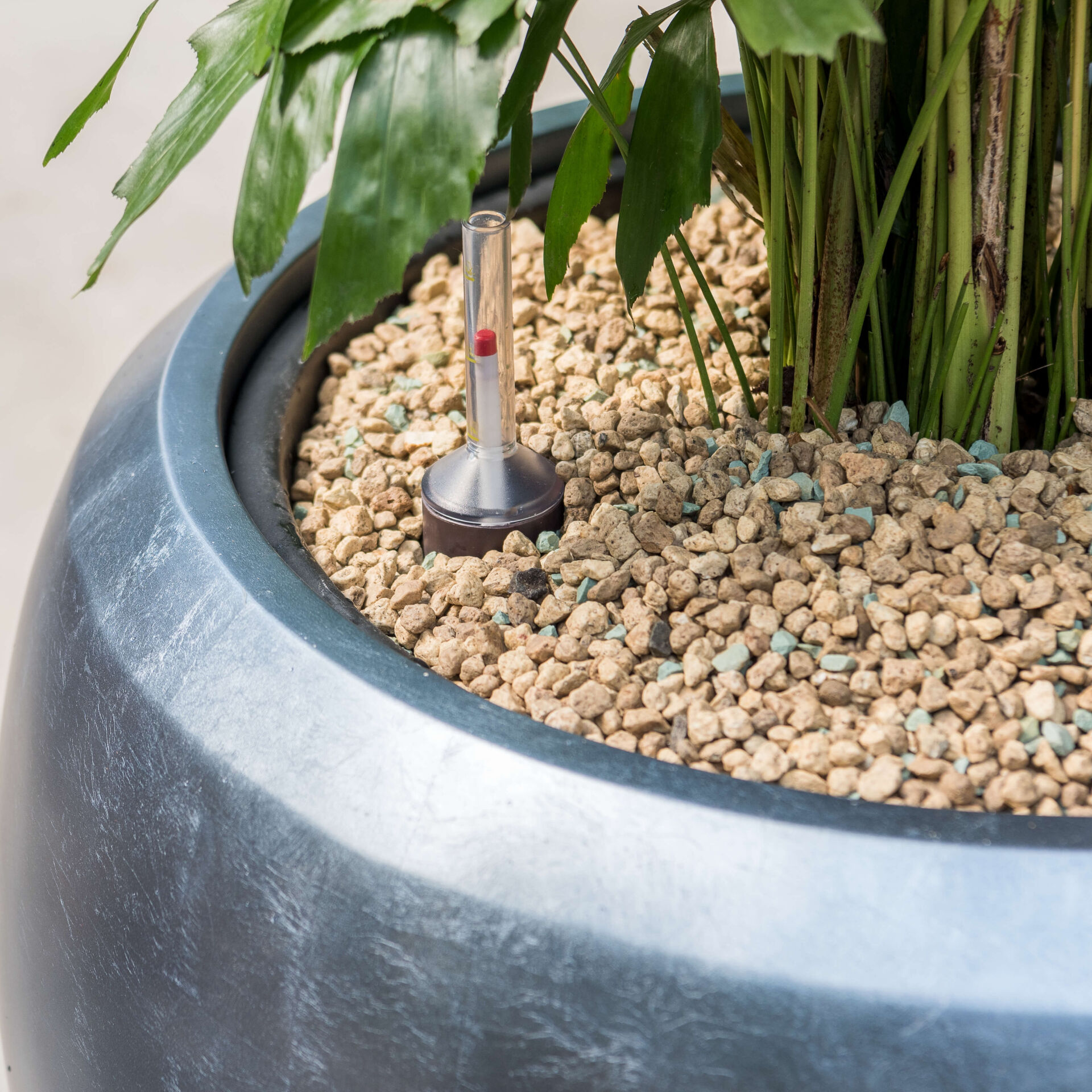 Blumenthal Jardinage et Hydroculture — photo 16