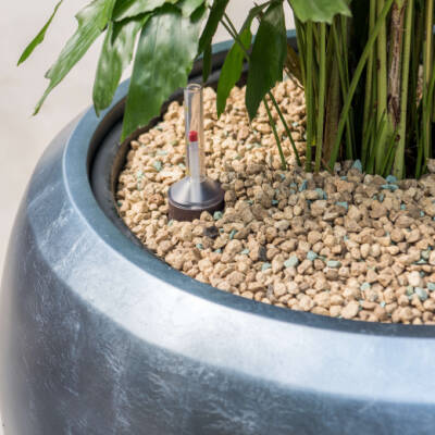 Blumenthal Jardinage et Hydroculture — photo 16 miniature
