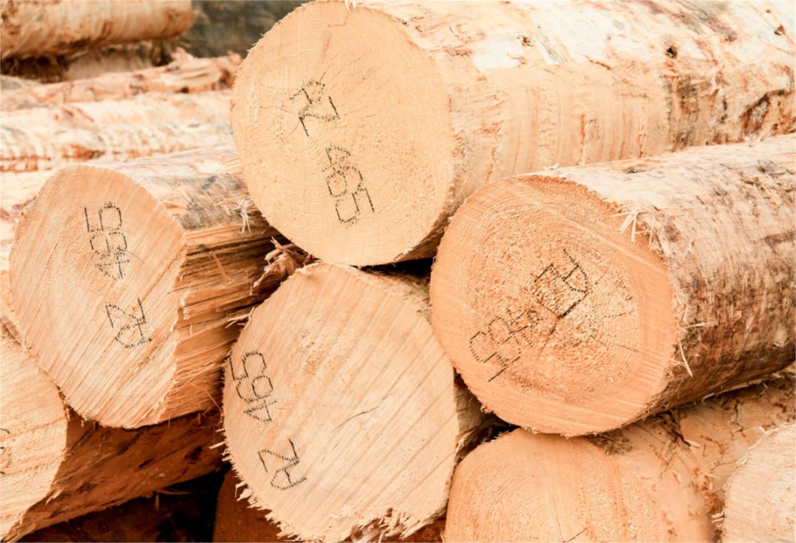 Bois Scholtes