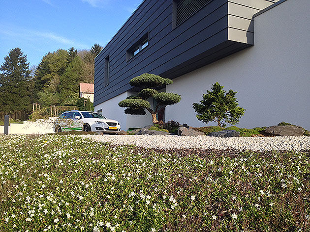 Brisbois Garden Design