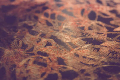 Carrelages Dino De Cecco — photo 16 miniature