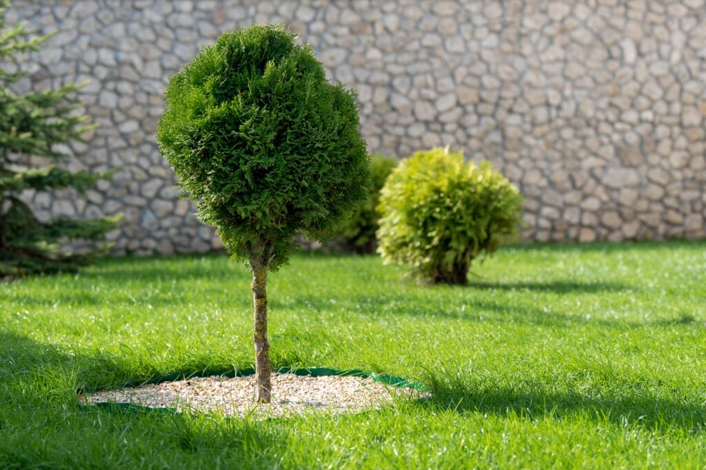 Jardins en Fleurs Moutinho