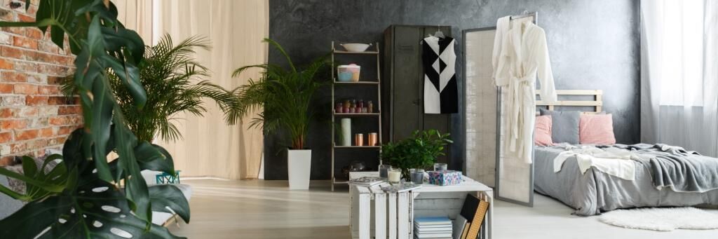 Lux-Renovation