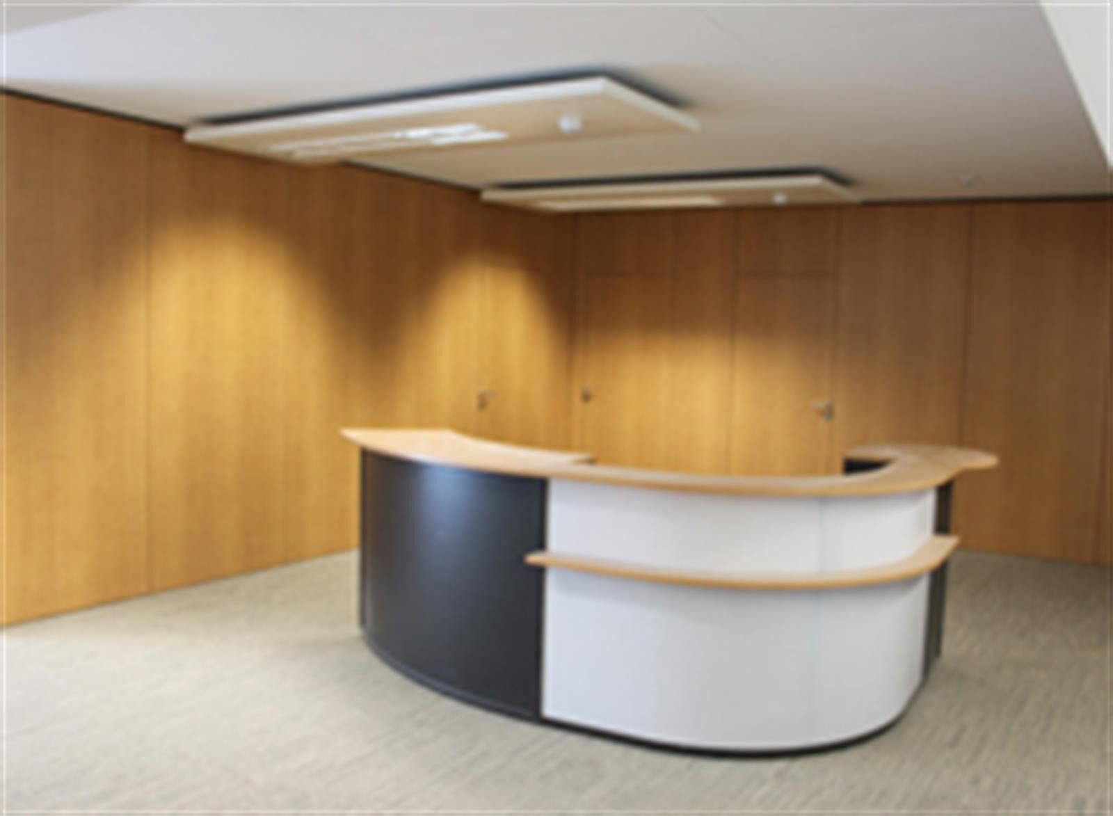 Peinture, Décoration & Aménagement intérieur par Plafotech à Bissen, réalisation 3