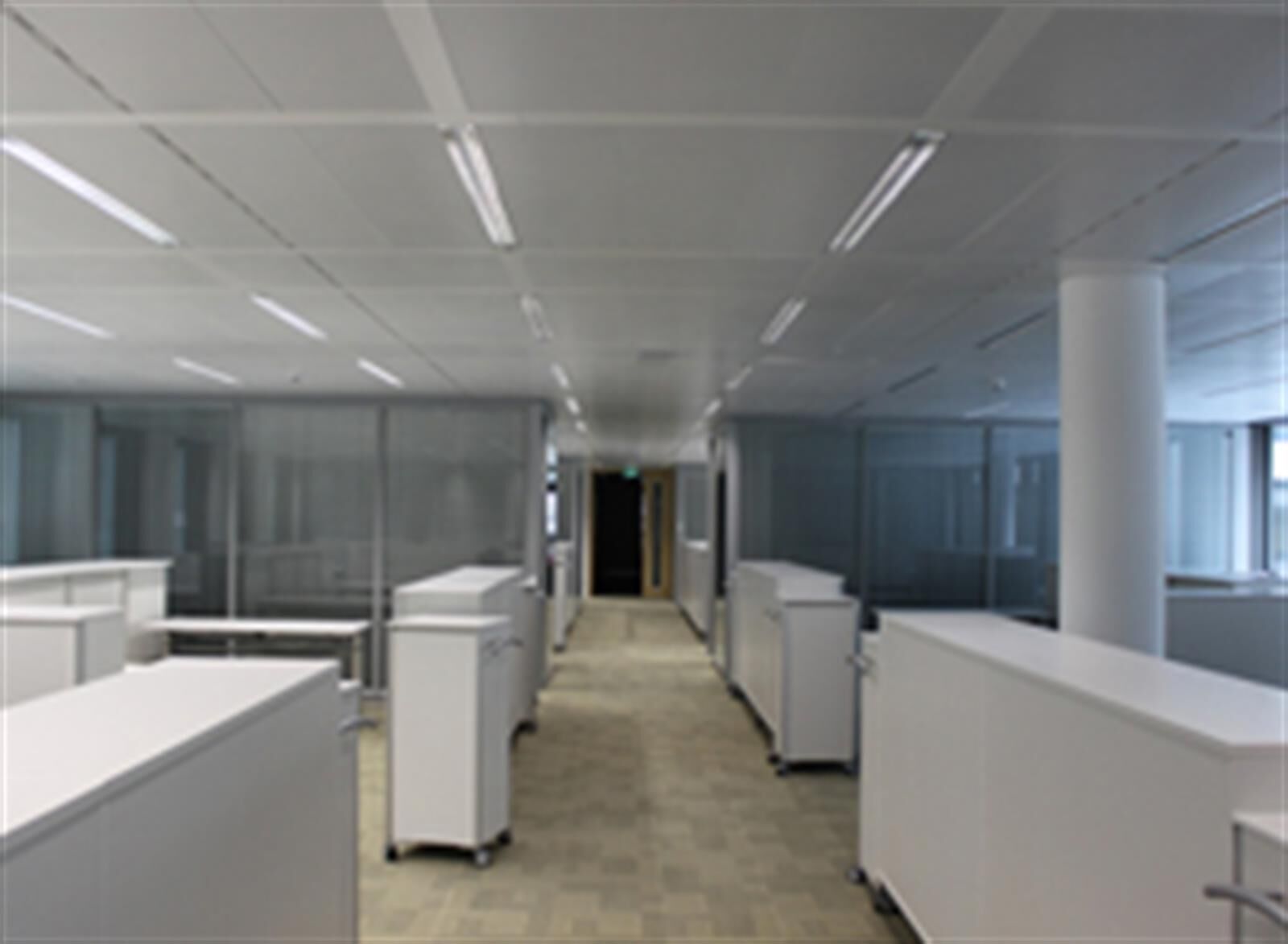 Peinture, Décoration & Aménagement intérieur par Plafotech à Bissen, réalisation 5