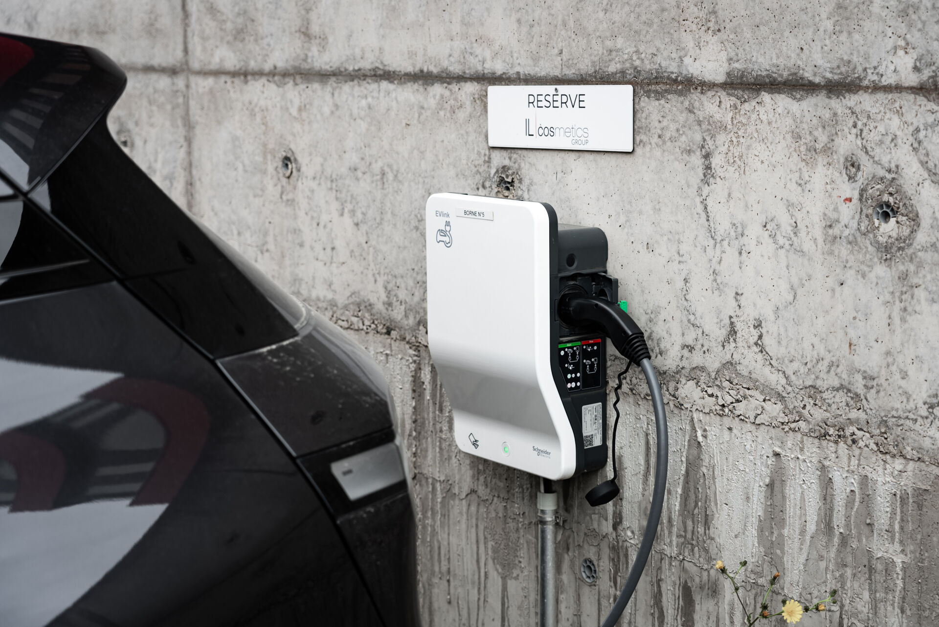 Auluxelec — photo 1