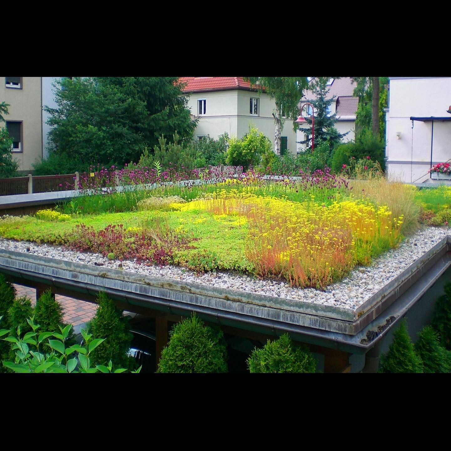 Thieltges Zunker Bedachungen — photo 6