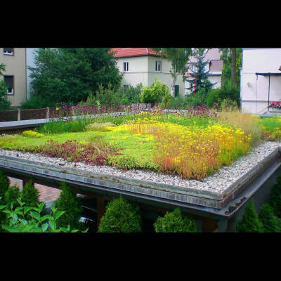Thieltges Zunker Bedachungen — Foto 6 miniature
