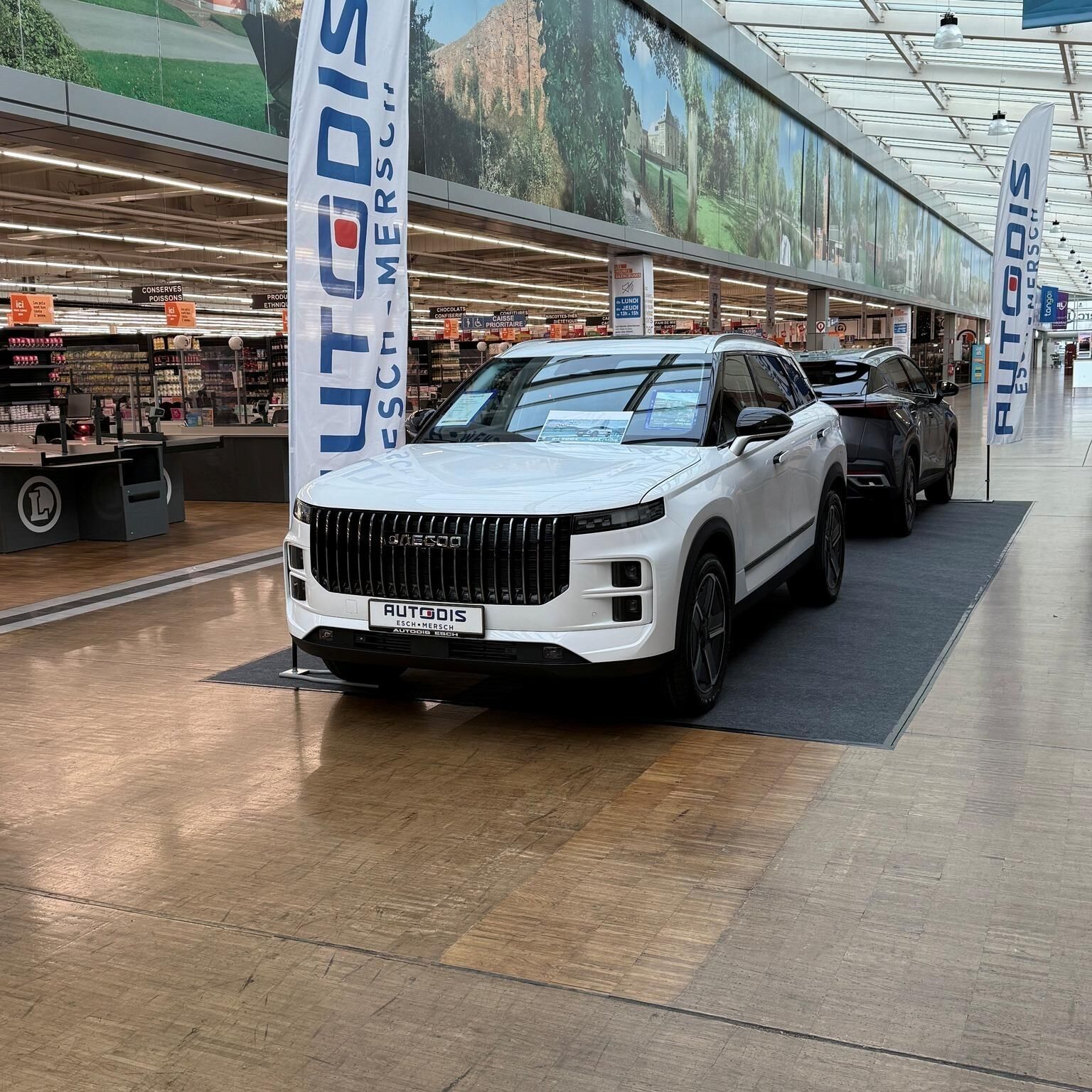Autodis Esch — Foto 5