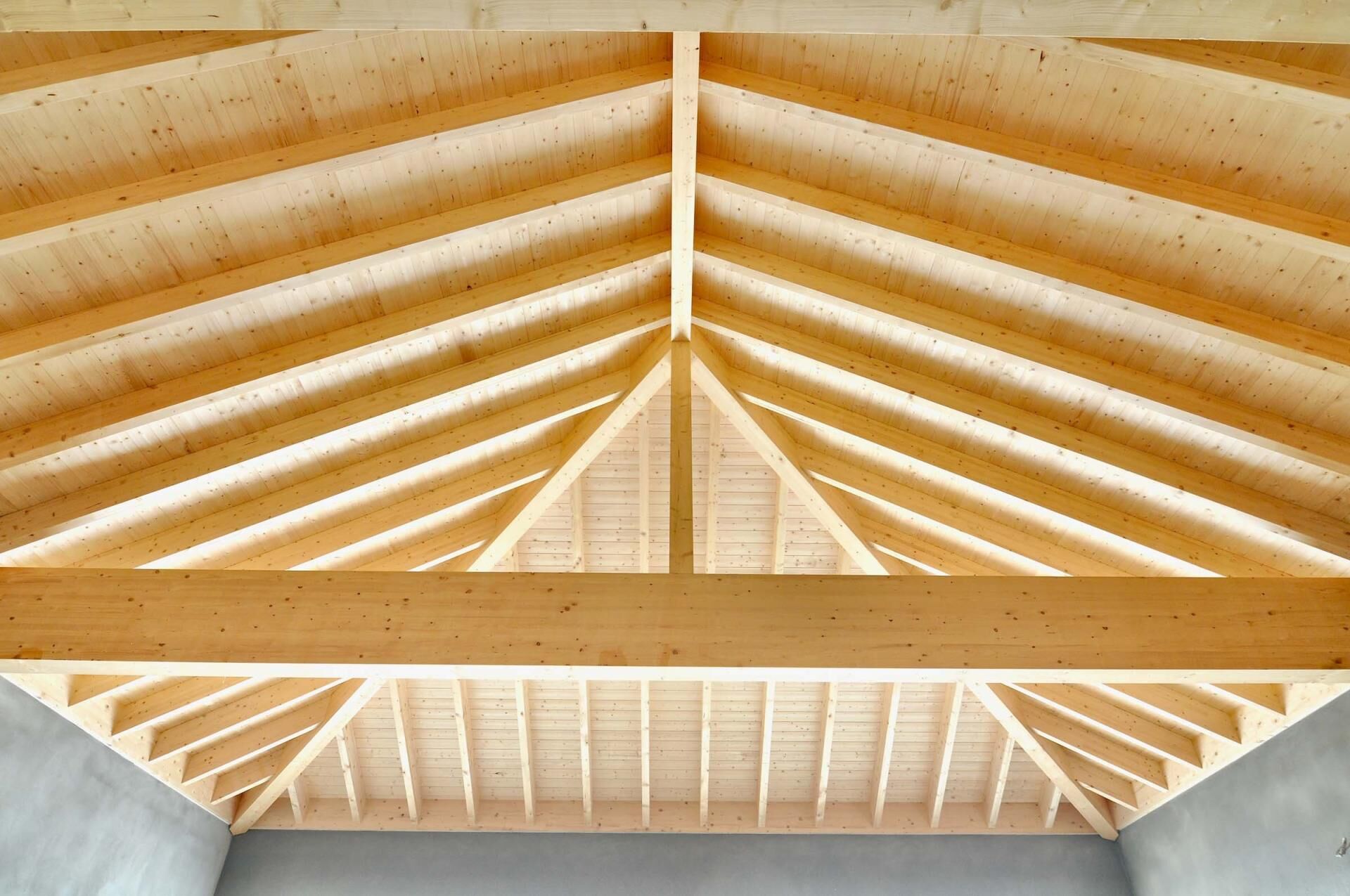 Sichtdachstuhl Garage in Luxembourg — Foto 2