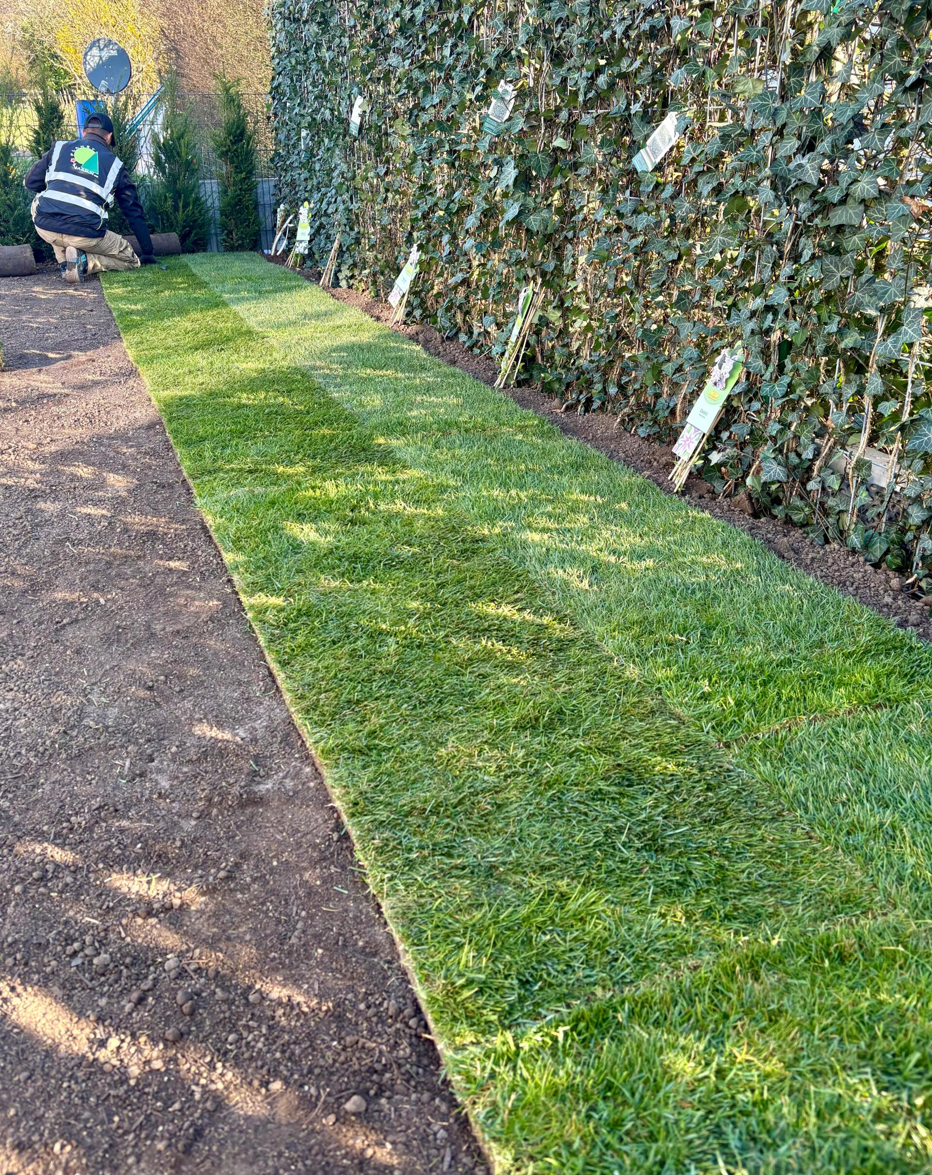 Complete Outdoor Landscaping in Niederanven — photo 9