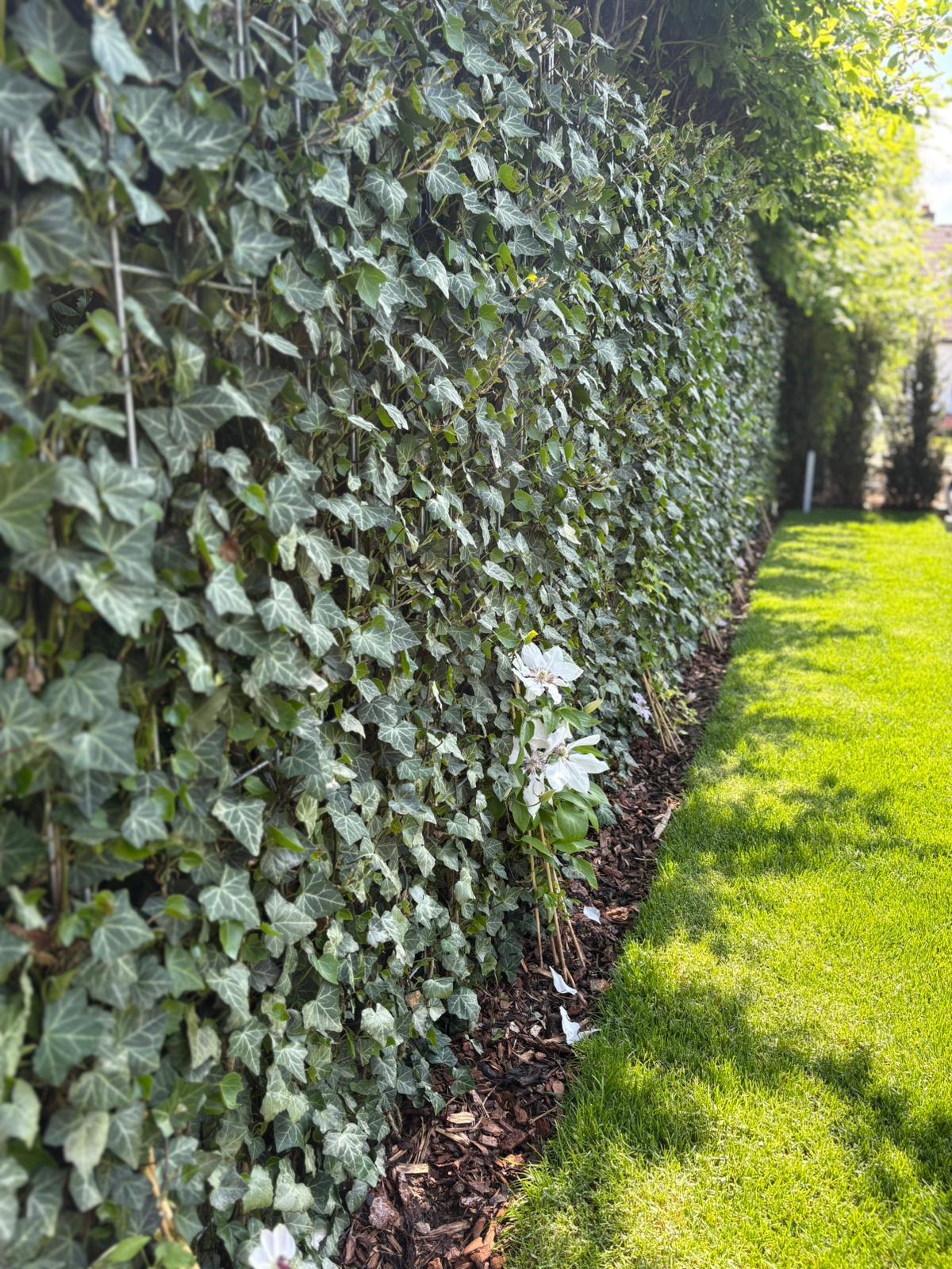 Complete Outdoor Landscaping in Niederanven — photo 28