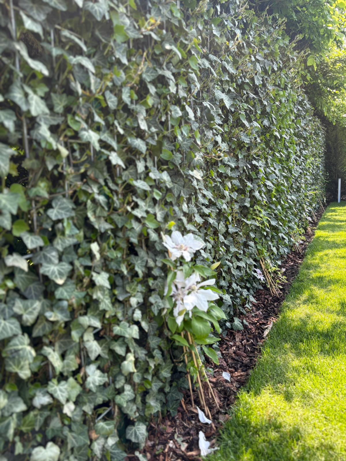 Complete Outdoor Landscaping in Niederanven — photo 29