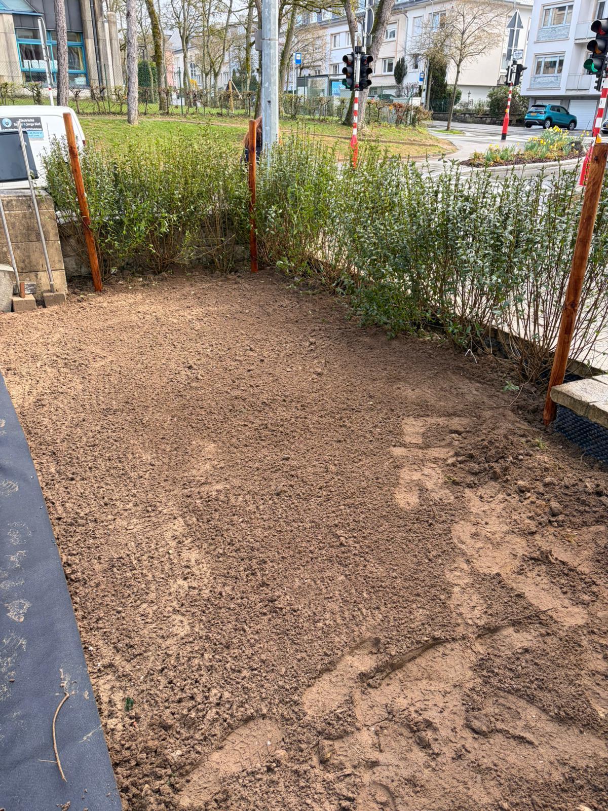 Outdoor Landscaping in Limpertsberg — photo 20