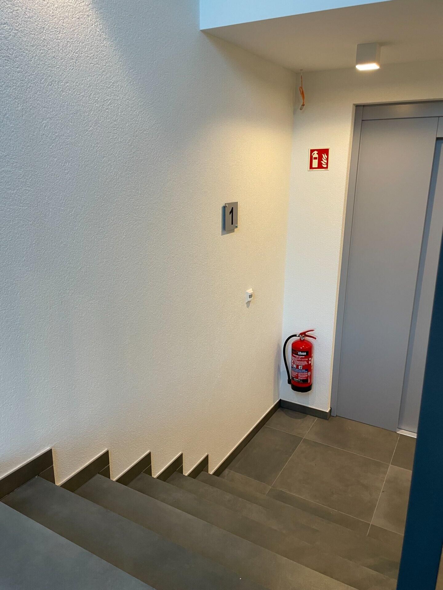 Interior Painting and Painting of Common Areas — Luxembourg — photo 16