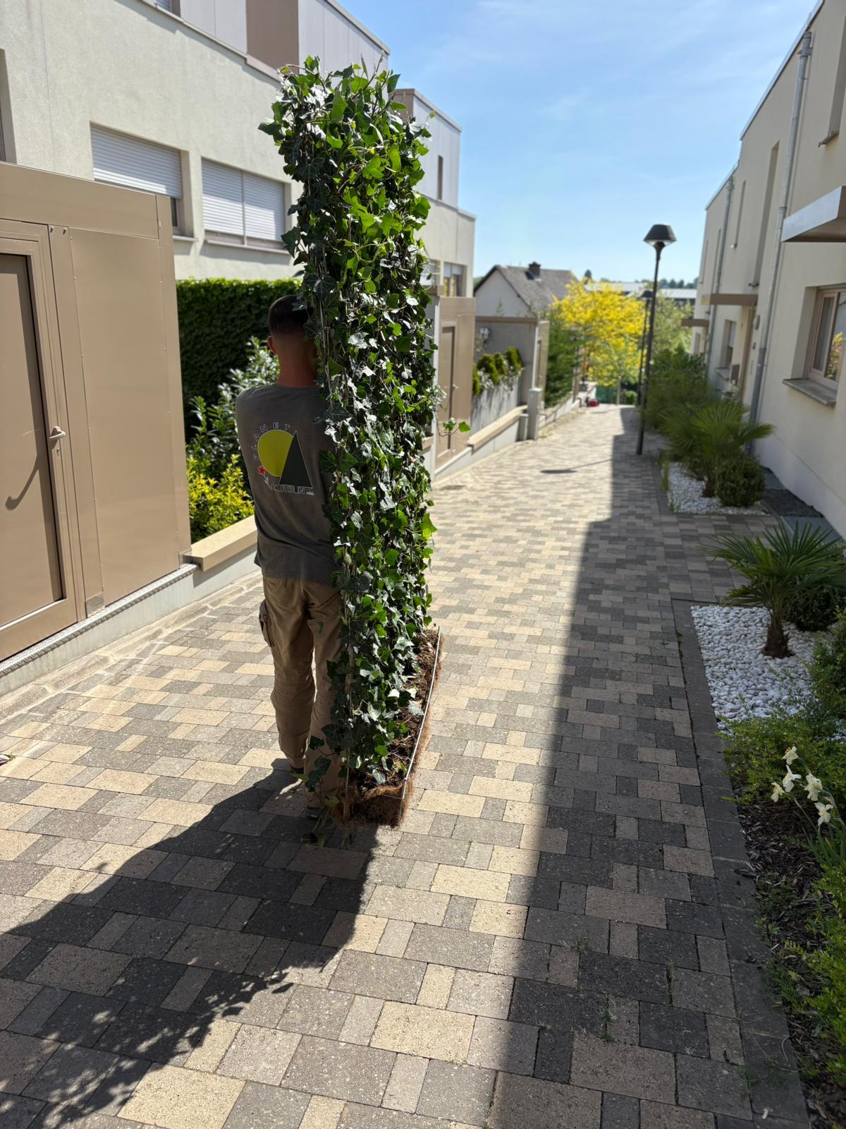 Aménagement de terrasse à Sandweiler — photo 5