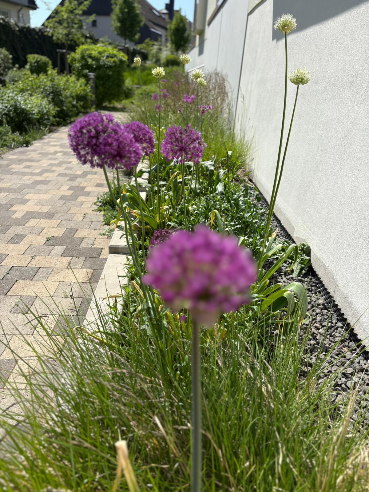 Aménagement de terrasse à Sandweiler — photo 9