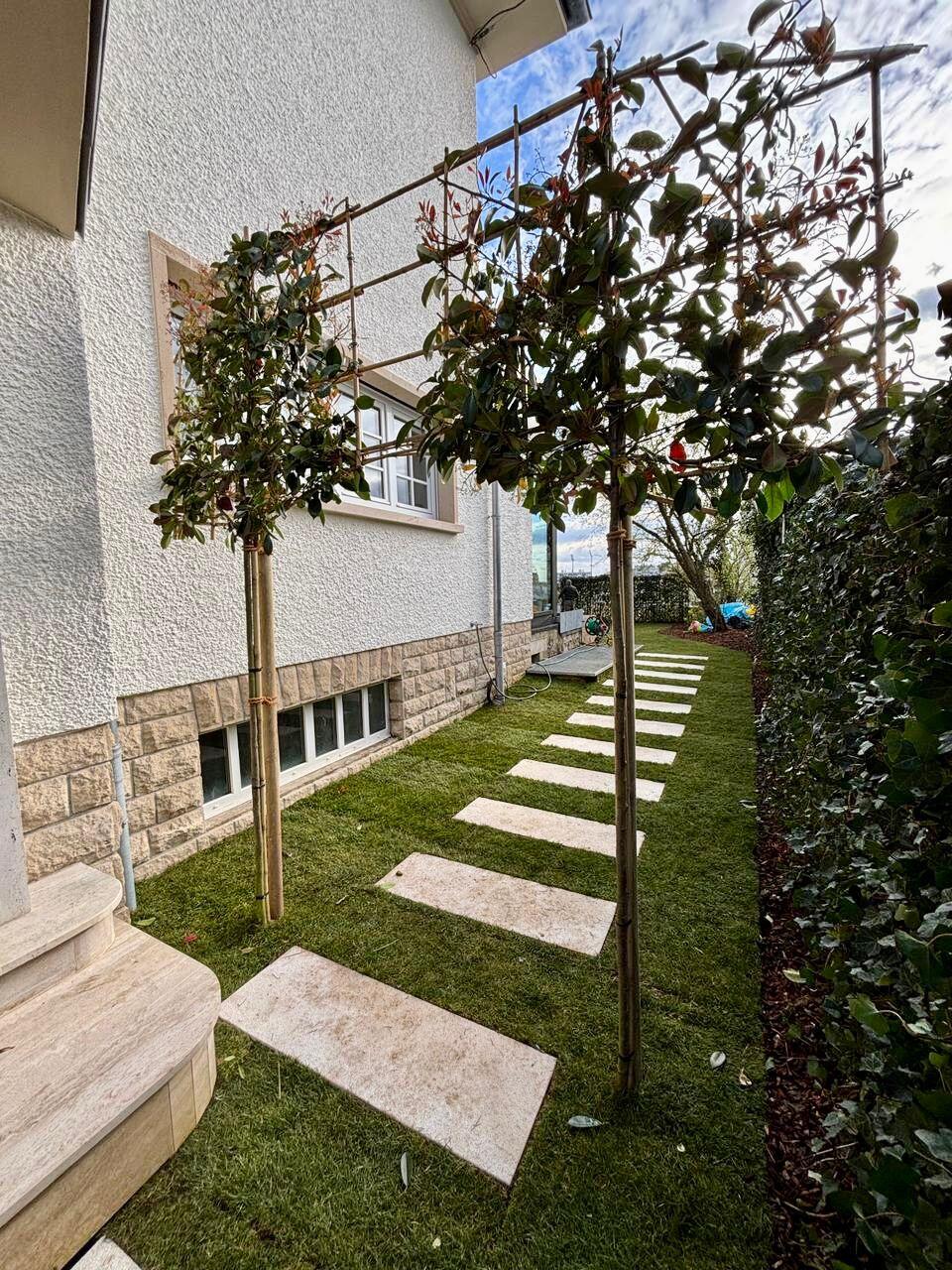Außengestaltung in Limpertsberg — Foto 10