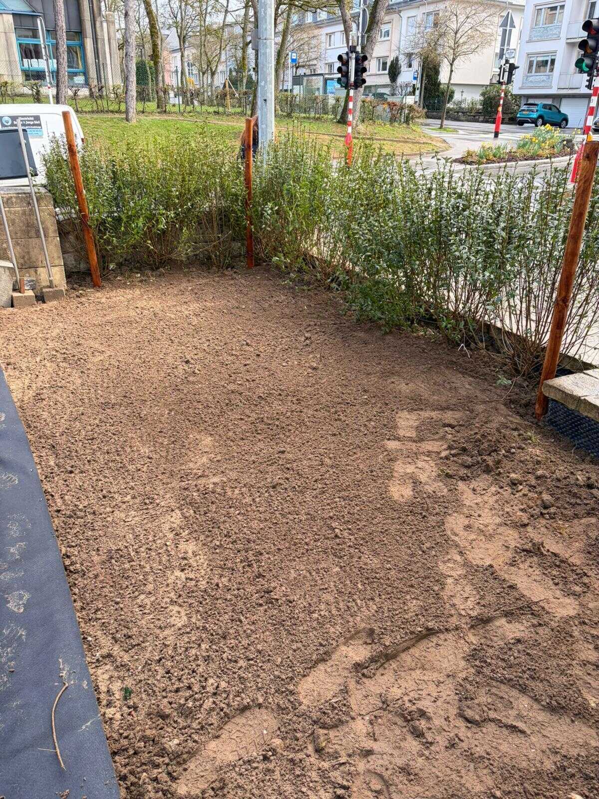 Außengestaltung in Limpertsberg — Foto 20
